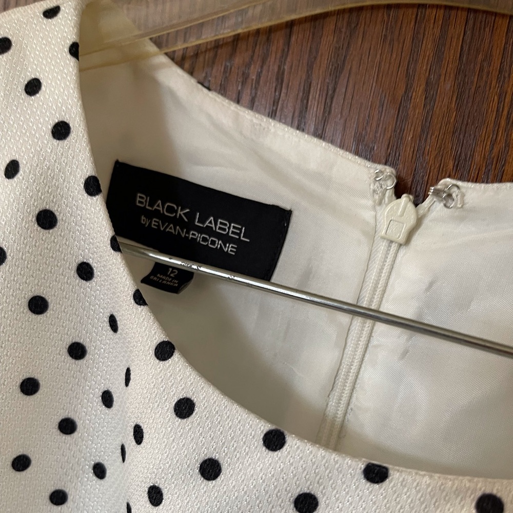 Evan Picone Black Label Dress
